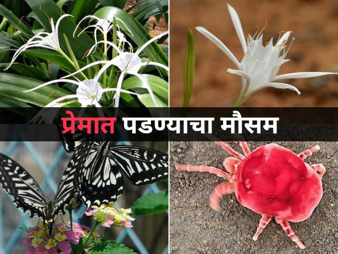 Indian Monsoon and romance, how nature changes in Monsoon, a love story | Monsoon: प्रेमात पाडणारा पाऊस! आपल्या अवतीभोवती पाहा जो तो नव्यानं सुरु करतोय आयुष्य!
