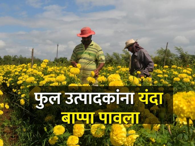 During the festival, the flower grower farmers get good price for the flower | उत्सव काळात फूल उत्पादक शेतकऱ्यांच्या फुलाला चांगला भाव