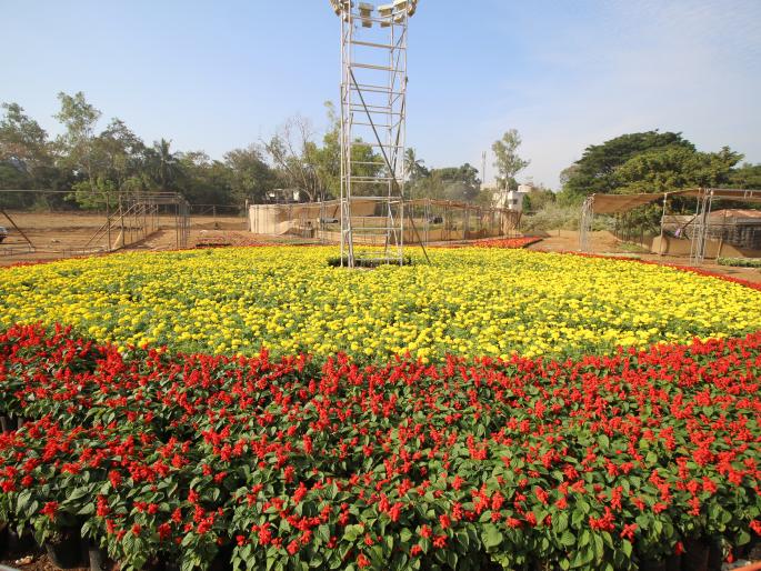 KSBP has organized a flower festival from 24th to the growth of Kolhapur district | कोल्हापूर : ‘केएसबीपी’तर्फे २४ पासून फ्लॉवर फेस्टिव्हल, जिल्ह्याच्या पर्यटनवाढीसाठी नवी दिशा KSBP has organized a flower festival from 24th to the growth of Kolhapur district | कोल्हापूर : ‘केएसबीपी’तर्फे २४ पासून फ्लॉवर फेस्टिव्हल, जिल्ह्याच्या पर्यटनवाढीसाठी नवी दिशा