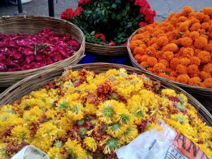 The fragrance of the fragrance in the flower market is expensive; Demand increased during Navratri festival | फूलबाजारात सुगंधाचा दरवळ महागला ; नवरात्रोत्सवात मागणी वाढली The fragrance of the fragrance in the flower market is expensive; Demand increased during Navratri festival | फूलबाजारात सुगंधाचा दरवळ महागला ; नवरात्रोत्सवात मागणी वाढली