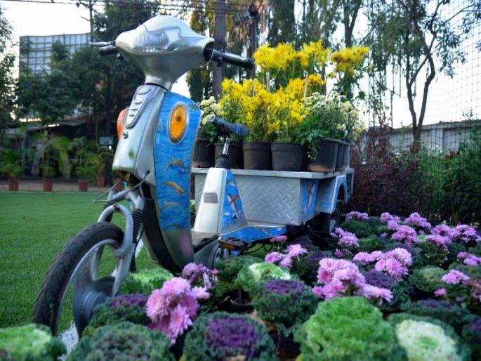 Flowers: 'Gulshananabad' flowering world's Nashikar sahihani ...! | पुष्पोत्सव : ‘गुलशनाबाद’मधील फुलांच्या दुनियेची नाशिककरांना मोहिनी...! Flowers: 'Gulshananabad' flowering world's Nashikar sahihani ...! | पुष्पोत्सव : ‘गुलशनाबाद’मधील फुलांच्या दुनियेची नाशिककरांना मोहिनी...!