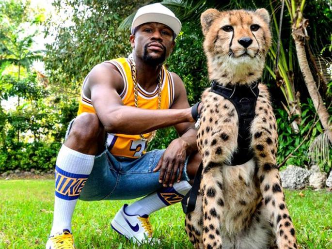 Fighter Floyd Mayweather luxurious lifestyle he shows piles cash feet | पायाखाली ठेवतो लाखों-कोट्यवधी रूपये, सोनं-हिऱ्यांनी झाकलेली असते याची बॉडी! Fighter Floyd Mayweather luxurious lifestyle he shows piles cash feet | पायाखाली ठेवतो लाखों-कोट्यवधी रूपये, सोनं-हिऱ्यांनी झाकलेली असते याची बॉडी!