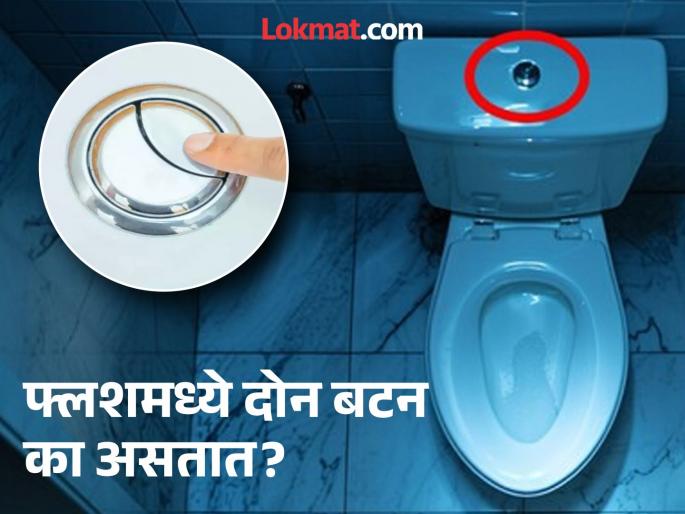 Why are there two buttons on the flush of a Western toilet? know the answer | वेस्टर्न टॉयलेटच्या फ्लशमध्ये दोन बटन का दिलेले असतात? ९९ टक्के लोकांना माहीत नसेल उत्तर!