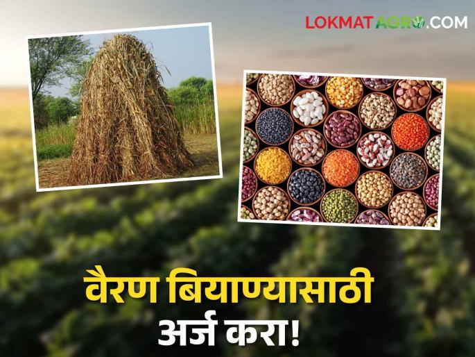 Latest News Farmers apply for Fodder seed? Read the complete process here  |  Fodder Seed : शेतकऱ्यांनो! वैरण बियाण्यासाठी अर्ज केला का? इथं वाचा संपूर्ण प्रक्रिया  Latest News Farmers apply for Fodder seed? Read the complete process here  |  Fodder Seed : शेतकऱ्यांनो! वैरण बियाण्यासाठी अर्ज केला का? इथं वाचा संपूर्ण प्रक्रिया