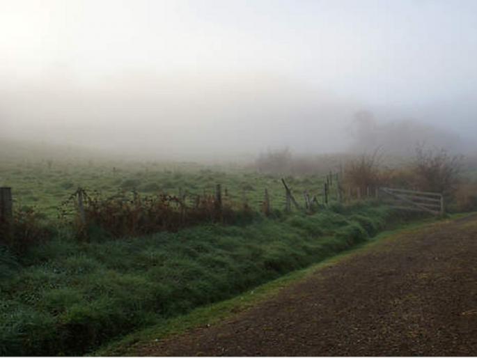 Fog and winter management are needed for the farming in the state | राज्यात शेतासाठी धुके,थंडीचे व्यवस्थापन गरजेचे Fog and winter management are needed for the farming in the state | राज्यात शेतासाठी धुके,थंडीचे व्यवस्थापन गरजेचे