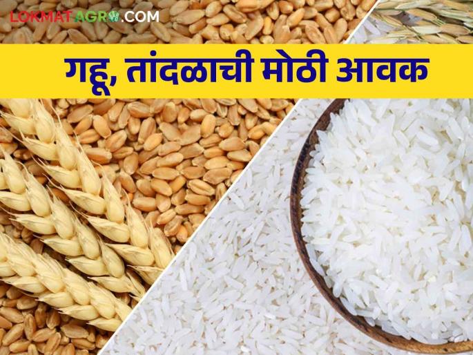 Maximum arrival of wheat, rice in Mumbai market committee, how the market price is getting | मुंबई बाजार समितीमध्ये गहू, तांदळाची सर्वाधिक आवक, कसा मिळतोय बाजारभाव Maximum arrival of wheat, rice in Mumbai market committee, how the market price is getting | मुंबई बाजार समितीमध्ये गहू, तांदळाची सर्वाधिक आवक, कसा मिळतोय बाजारभाव