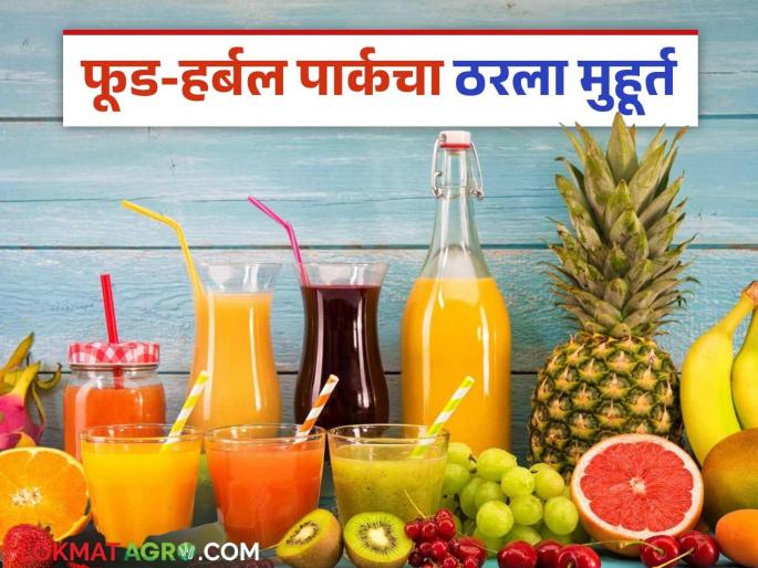Food and Herbal Park: Asia largest food and herbal park in Nagpur read in details | Food and Herbal Park: फूड-हर्बल पार्क: विदर्भातील शेतकरी होणार समृध्द वाचा सविस्तर Food and Herbal Park: Asia largest food and herbal park in Nagpur read in details | Food and Herbal Park: फूड-हर्बल पार्क: विदर्भातील शेतकरी होणार समृध्द वाचा सविस्तर