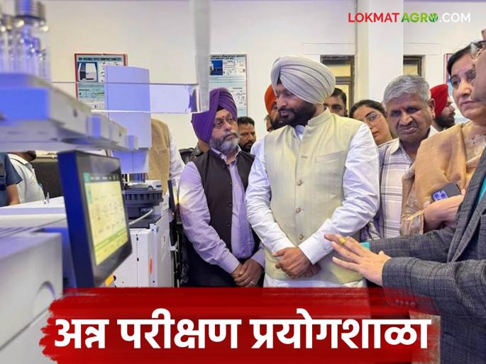 latest News Creation of 100 food testing laboratories across country see details | Agriculture News : देशभरात 100 अन्न चाचणी प्रयोगशाळांची निर्मिती, शेतकऱ्यांना कसा होणार लाभ  latest News Creation of 100 food testing laboratories across country see details | Agriculture News : देशभरात 100 अन्न चाचणी प्रयोगशाळांची निर्मिती, शेतकऱ्यांना कसा होणार लाभ