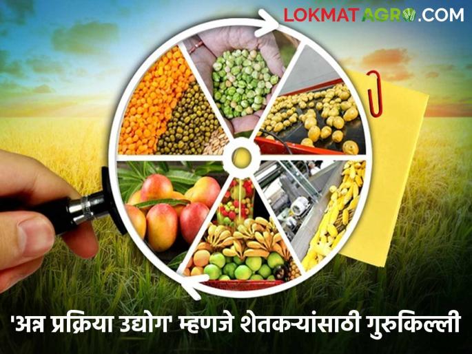 latest news Food Processing: From agriculture to industry: Read the successful formula of food processing scheme in Parbhani in detail | Food Processing : शेतीपासून उद्योगापर्यंत: अन्न प्रक्रिया योजनेचा परभणीत यशस्वी फॉर्म्युला वाचा सविस्तर