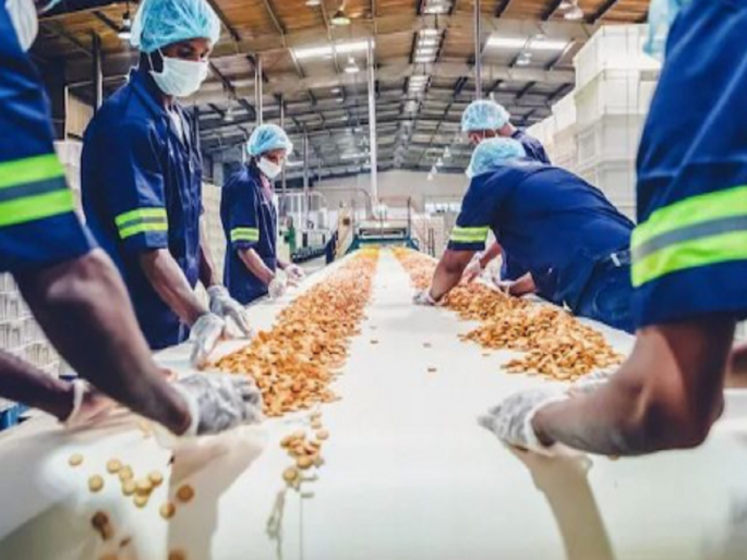 Start an agro processing industry, get subsidy up to 3 crores under SMART Yojana | कृषी प्रक्रिया उद्योग सुरू करा, स्मार्ट योजनेंतर्गत ३ कोटींपर्यंत अनुदान घ्या