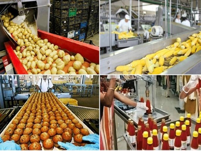 Farmers of Chhatrapati Sambhajinagar are leaders in the state in building food processing industry | अन्नप्रक्रिया उद्योेग उभारणीत छत्रपती संभाजीनगरचे शेतकरी राज्यात अग्रेसर Farmers of Chhatrapati Sambhajinagar are leaders in the state in building food processing industry | अन्नप्रक्रिया उद्योेग उभारणीत छत्रपती संभाजीनगरचे शेतकरी राज्यात अग्रेसर
