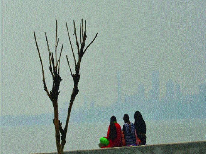 If fog in Delhi, Mumbai smiles, dust merges with dust | दिल्लीत धुके तर मुंबईत धूरके, धुक्यात मिसळली धूळ  If fog in Delhi, Mumbai smiles, dust merges with dust | दिल्लीत धुके तर मुंबईत धूरके, धुक्यात मिसळली धूळ