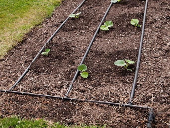 For drip irrigation farmers increased the burden of four thousand | ठिबक सिंचनासाठी शेतक-यांवर एकरी चार हजाराचा भार वाढला For drip irrigation farmers increased the burden of four thousand | ठिबक सिंचनासाठी शेतक-यांवर एकरी चार हजाराचा भार वाढला