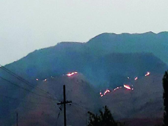  Vanvaan has become a mountain, desert and forest department ignored | वणव्याने डोंगर झाले ओसाड, वन विभागाचे दुर्लक्ष