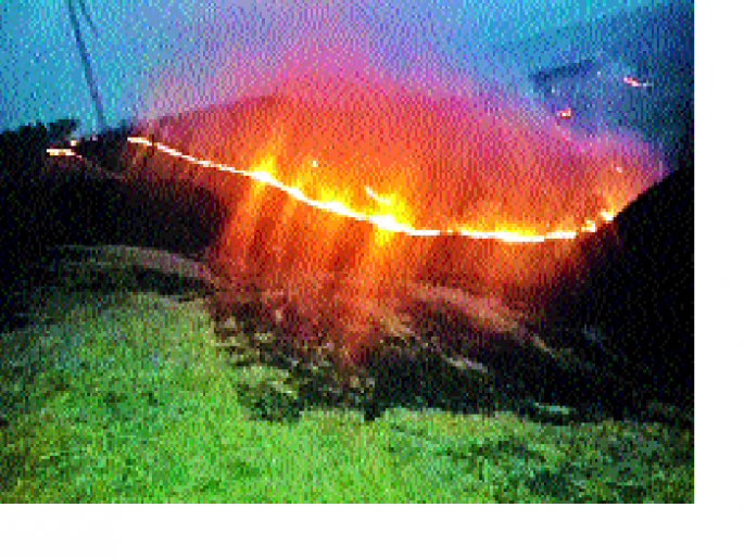 Chandoli area is fierce fire: the need for measures; Risk of rare plants | चांदोली परिसर आगीने होरपळतोय :उपाययोजनांची गरज; दुर्मिळ वनस्पती धोक्यात