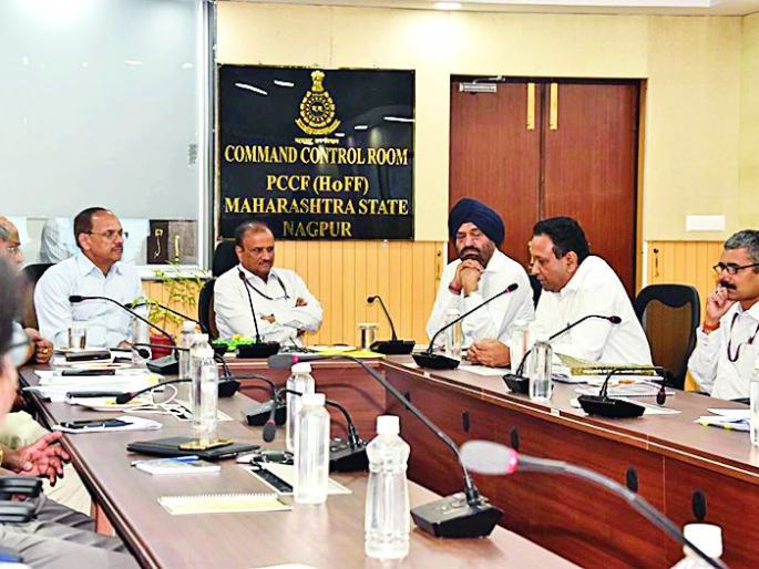 The need to enrich the country's forest: Sidhant Das | देशातील वन समृद्ध करण्याची गरज : सिद्धांत दास The need to enrich the country's forest: Sidhant Das | देशातील वन समृद्ध करण्याची गरज : सिद्धांत दास