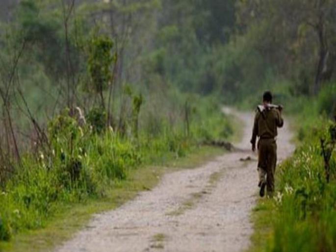 forest department no good work doing in Ambegaon taluka | आंबेगाव तालुक्यात वनविभागाची मनमानी