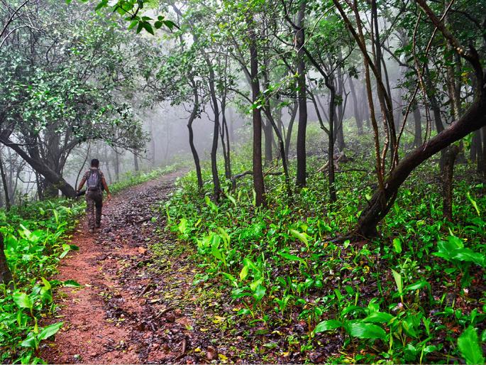 Night and day watch on the shores of the terrestrial forest, including bungalows in Thane. | ठाणे येऊरच्या बंगल्यांसह जंगलात शिरणाऱ्या थर्टीफस्टच्या तळीरामांवर रात्रंदिवस खडा पहारा Night and day watch on the shores of the terrestrial forest, including bungalows in Thane. | ठाणे येऊरच्या बंगल्यांसह जंगलात शिरणाऱ्या थर्टीफस्टच्या तळीरामांवर रात्रंदिवस खडा पहारा