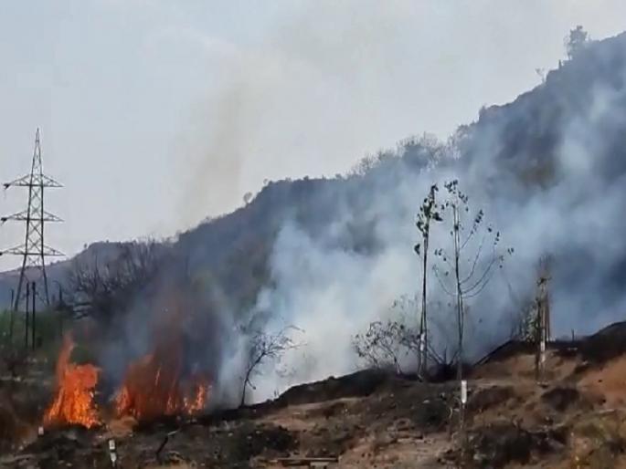 psycho make fire; Thousands of trees in the Vihar area behind the university were reduced to ashes | माथेफिरूने लावली आग; विद्यापिठामागील विहार परिसरातील हजारो वृक्षांची झाली राख psycho make fire; Thousands of trees in the Vihar area behind the university were reduced to ashes | माथेफिरूने लावली आग; विद्यापिठामागील विहार परिसरातील हजारो वृक्षांची झाली राख