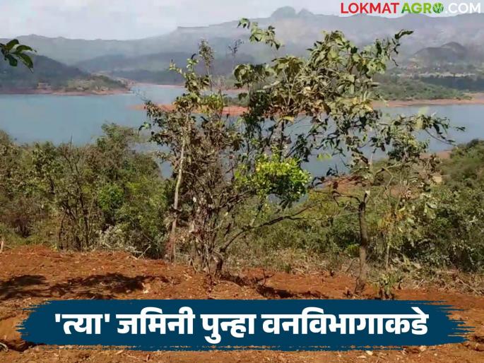 The state government has now imposed restrictions on 'those' lands of the forest department; they cannot be bought or sold | वनविभागाच्या 'त्या' जमिनींवर आता राज्य सरकारने घातले निर्बंध; खरेदी-विक्री करता येणार नाही
