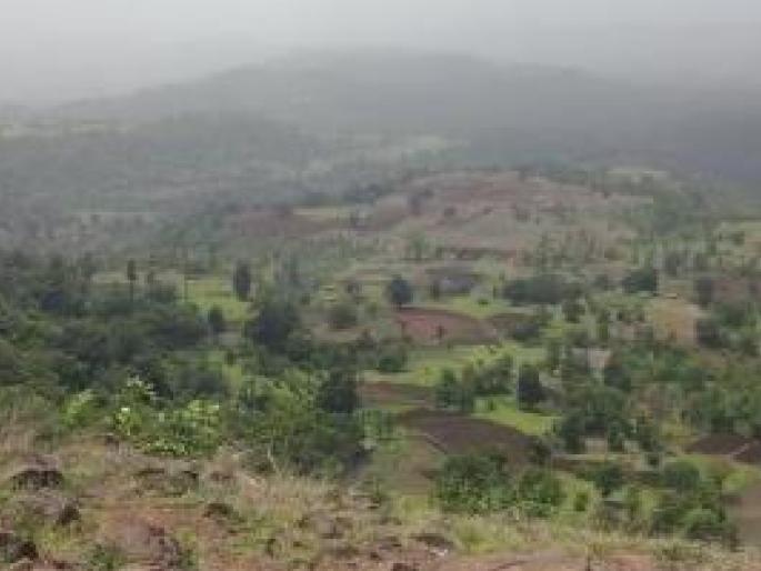 Thousands of acres of forest land in Kolhapur district given private names | कोल्हापूर जिल्ह्यात हजारो एकर वनजमिनींना खासगी नावे, महसूल खाते काय निर्णय घेणार याकडे लक्ष Thousands of acres of forest land in Kolhapur district given private names | कोल्हापूर जिल्ह्यात हजारो एकर वनजमिनींना खासगी नावे, महसूल खाते काय निर्णय घेणार याकडे लक्ष