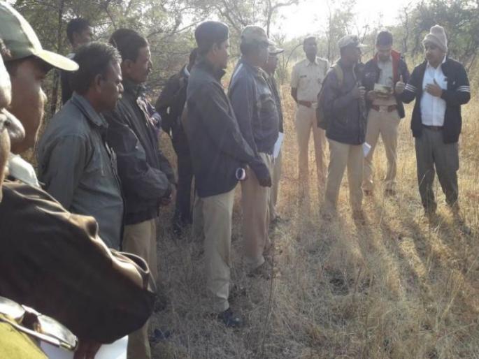 Order for obsolete forests by arbitrators | दांड्या मारणाऱ्या वनमजुरांना चाप-उपवनसंरक्षकांचे परिक्षेत्र वनअधिकाऱ्यांना आदेश