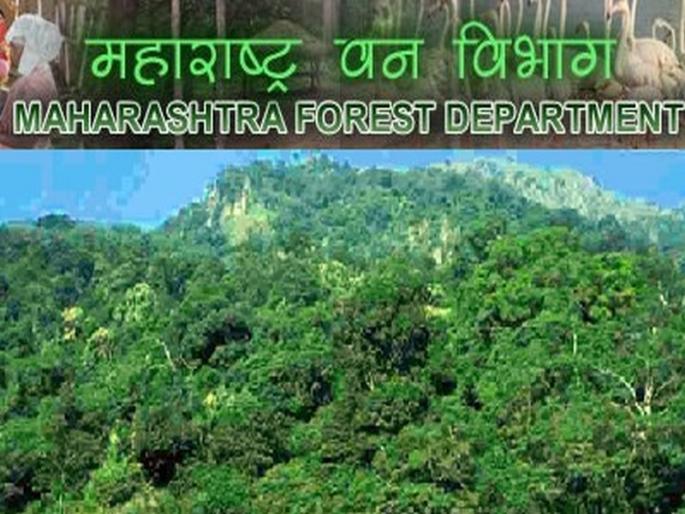 Developed 'Delusion' app providing information about forest tourism-the first system in the state | जंगल पर्यटनाची माहिती देणारे ‘भ्रमंती’ अ‍ॅप विकसित-राज्यातील पहिलीच प्रणाली