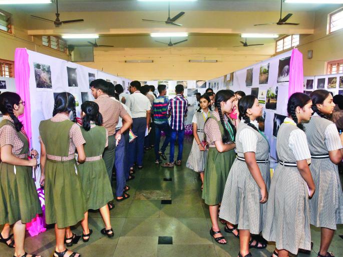 Ratnagiri: Photographs of wild animals originating from the students' art | रत्नागिरी :विद्यार्थ्यांच्या कलेतून साकारली वन्यप्राण्यांची छायाचित्रे