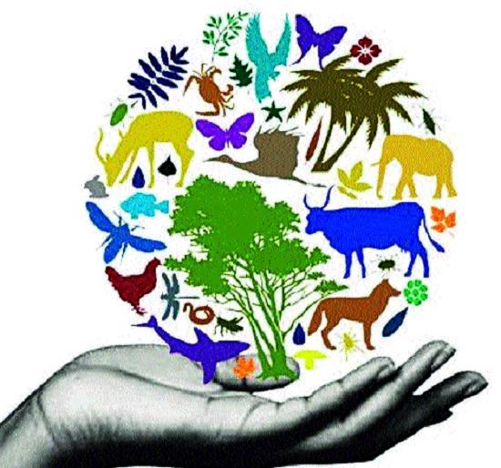 Challenges to the cause of pollution in the bio-diversity of Sangli district - due to pollution | सांगली जिल्ह्याची जैवविविधता प्रश्नांच्या भयारण्यात- प्रदूषणामुळे समस्या : नैसर्गिक संपत्ती टिकविण्याचे आव्हान Challenges to the cause of pollution in the bio-diversity of Sangli district - due to pollution | सांगली जिल्ह्याची जैवविविधता प्रश्नांच्या भयारण्यात- प्रदूषणामुळे समस्या : नैसर्गिक संपत्ती टिकविण्याचे आव्हान