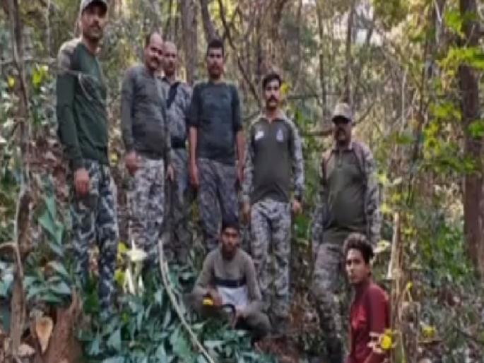 Smuggling of mada leaves in Kunkeri forest, three arrested | Sindhudurg: कुणकेरी येथील जंगलात माडाच्या पानांची तस्करी, तिघेजण ताब्यात Smuggling of mada leaves in Kunkeri forest, three arrested | Sindhudurg: कुणकेरी येथील जंगलात माडाच्या पानांची तस्करी, तिघेजण ताब्यात