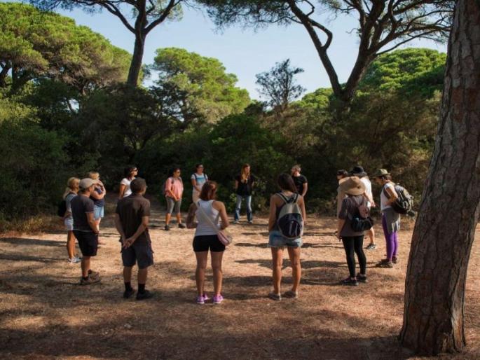 What is the Forest Therapy? What are the health benefits? | काय आहे फॉरेस्ट थेरपी? काय होतात याने शरीराला फायदे? What is the Forest Therapy? What are the health benefits? | काय आहे फॉरेस्ट थेरपी? काय होतात याने शरीराला फायदे?