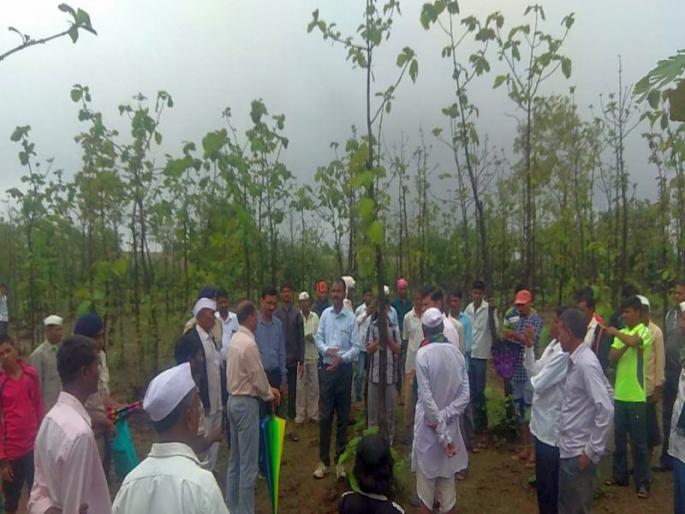 Sant Tukaram Vanagram Scheme: Nashik's Gavalipada was considered as one of the best in forestry | संत तुकाराम वनग्राम योजना : वनसंवर्धनात नाशिकचा गवळीपाडा ठरला उत्कृष्ट Sant Tukaram Vanagram Scheme: Nashik's Gavalipada was considered as one of the best in forestry | संत तुकाराम वनग्राम योजना : वनसंवर्धनात नाशिकचा गवळीपाडा ठरला उत्कृष्ट
