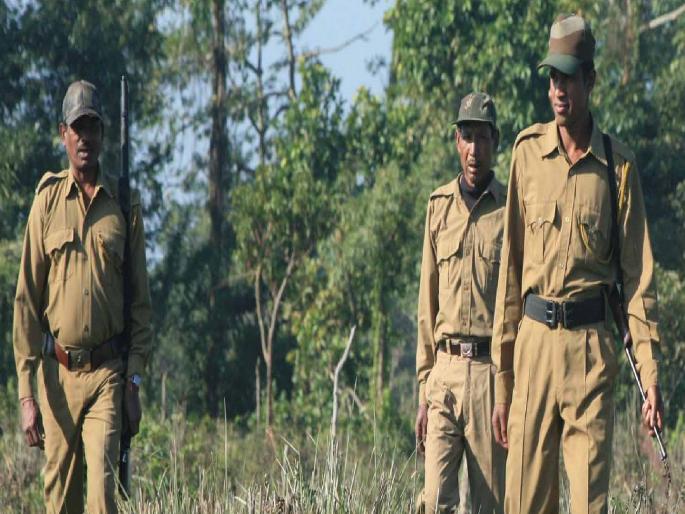 Appointments of women to honorary wildlife conservator posts, selection process begins | मानद वन्य जीव रक्षक पदांवर आता महिलांच्याही नियुक्त्या, निवडीची प्रक्रिया सुरू