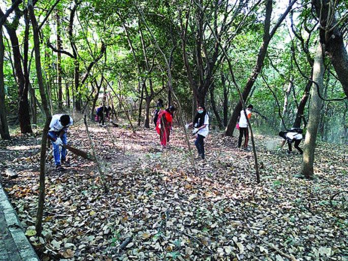 The youth took the initiative to clean the Belapur fort, conservation of fort forts | तरुणांकडून बेलापूर किल्ल्याची स्वच्छता, गड-किल्ल्यांच्या संवर्धनासाठी घेतला पुढाकार The youth took the initiative to clean the Belapur fort, conservation of fort forts | तरुणांकडून बेलापूर किल्ल्याची स्वच्छता, गड-किल्ल्यांच्या संवर्धनासाठी घेतला पुढाकार