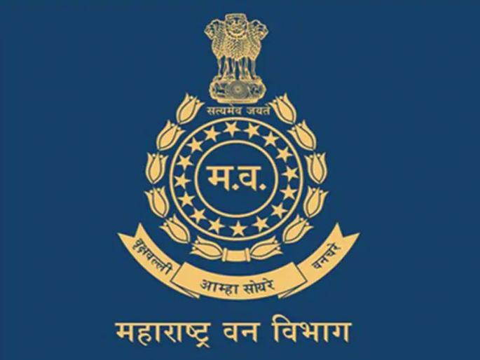 Overview of the High Principal Chief Conservator of Forestry in case of missing servicebook | सेवापुस्तिका गहाळ प्रकरणी अपर प्रधान मुख्य वनसंरक्षक घेणार आढावा Overview of the High Principal Chief Conservator of Forestry in case of missing servicebook | सेवापुस्तिका गहाळ प्रकरणी अपर प्रधान मुख्य वनसंरक्षक घेणार आढावा