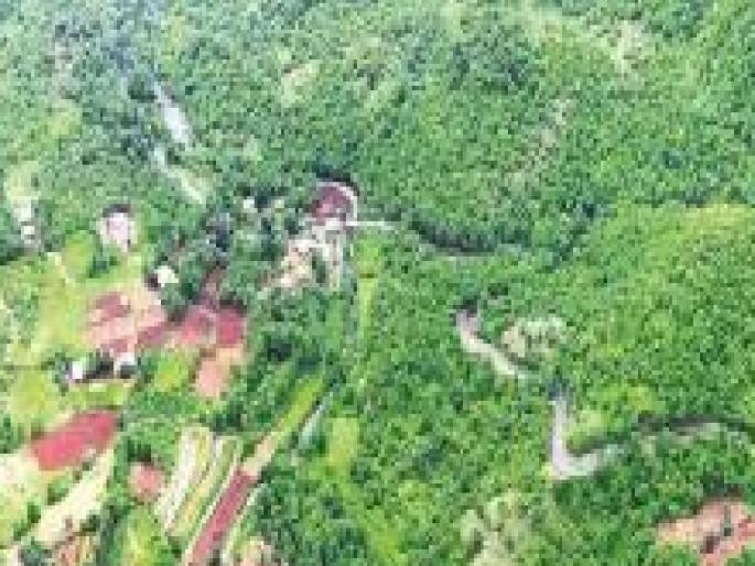 Forest cover has increased in Sindhudurg district, a good sign for the environment | गुड न्यूज: सिंधुदुर्ग जिल्ह्यातील वनआच्छादन वाढले, पर्यावरणासाठी शुभसंकेत Forest cover has increased in Sindhudurg district, a good sign for the environment | गुड न्यूज: सिंधुदुर्ग जिल्ह्यातील वनआच्छादन वाढले, पर्यावरणासाठी शुभसंकेत