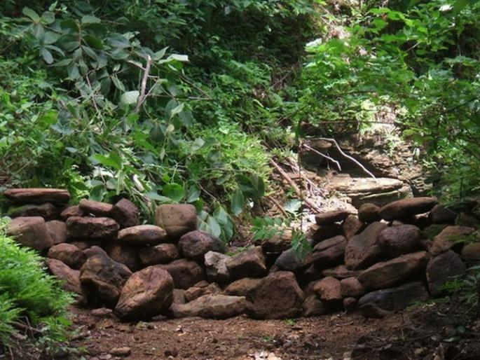 Construction of 3500 forestry dams in Akola district | अकोला जिल्ह्यात लोकसहभागातून ३५०० वनराई बंधारे बांधणार! Construction of 3500 forestry dams in Akola district | अकोला जिल्ह्यात लोकसहभागातून ३५०० वनराई बंधारे बांधणार!