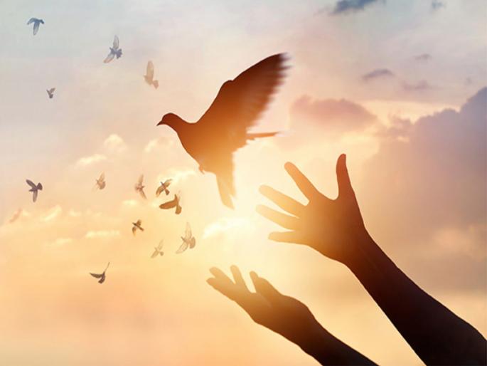 Forgiveness can change a person's life | क्षमा माणसाचे आयुष्य बदलू शकते Forgiveness can change a person's life | क्षमा माणसाचे आयुष्य बदलू शकते