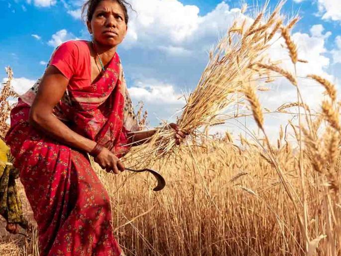 The farmer women will not be allowed to go to their own farm land, they will go on hunger strike in front of the Tehsil office for justice | स्वतःच्या शेतजमिनीत जाण्यास शेतकरी महिलेला मिळेना,'न्याय' The farmer women will not be allowed to go to their own farm land, they will go on hunger strike in front of the Tehsil office for justice | स्वतःच्या शेतजमिनीत जाण्यास शेतकरी महिलेला मिळेना,'न्याय'