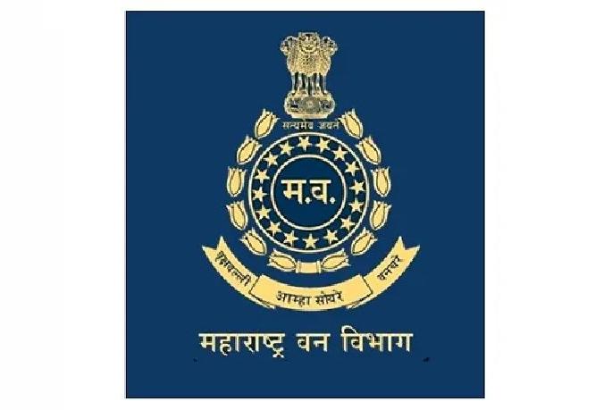 55 posts are vacant of forest officers in forest department, work affected | वनविभागात वनाधिकाऱ्यांच्या रिक्त पदांचा बोजवारा; प्रभारीवर कामकाज 55 posts are vacant of forest officers in forest department, work affected | वनविभागात वनाधिकाऱ्यांच्या रिक्त पदांचा बोजवारा; प्रभारीवर कामकाज