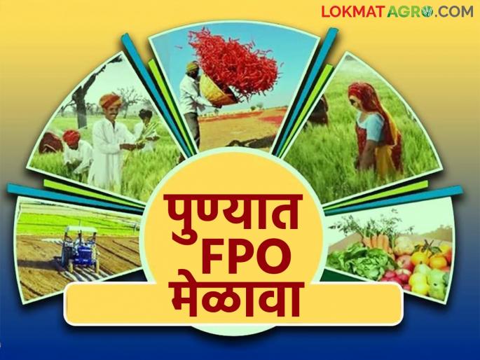 Golden opportunity for old Farmer Producer Organizations (FPOs) as well as farmers who want to set up FPOs | जुन्या शेतकरी उत्पादक संस्था (FPO) तसेच FPO स्थापन करू इच्छित असणाऱ्या शेतकऱ्यांसाठी सुवर्णसंधी Golden opportunity for old Farmer Producer Organizations (FPOs) as well as farmers who want to set up FPOs | जुन्या शेतकरी उत्पादक संस्था (FPO) तसेच FPO स्थापन करू इच्छित असणाऱ्या शेतकऱ्यांसाठी सुवर्णसंधी