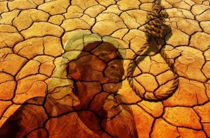 Farmer commits suicide in Shirkhed area of Amravati district | अमरावती जिल्ह्यात शिरखेड परिसरात शेतकऱ्याची आत्महत्या Farmer commits suicide in Shirkhed area of Amravati district | अमरावती जिल्ह्यात शिरखेड परिसरात शेतकऱ्याची आत्महत्या