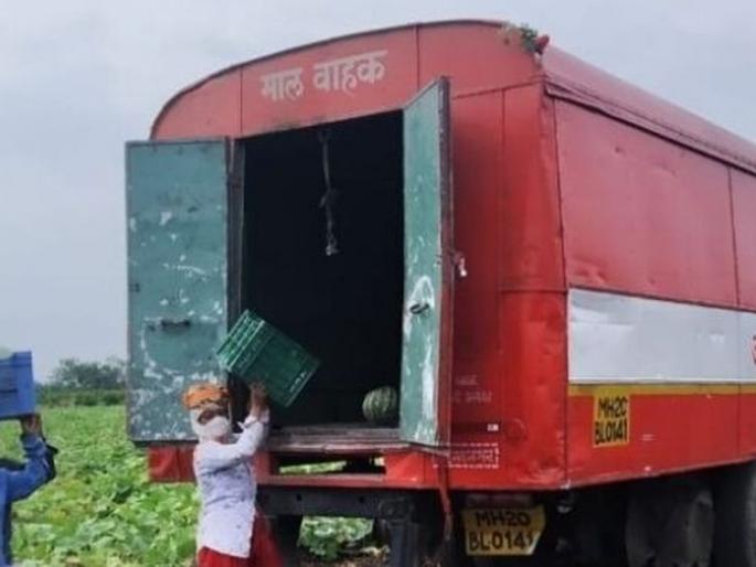 Freight transport to the ST Corporation; Earnings of Rs. 32 lakhs | एसटी महामंडळाला माल वाहतुकीचा आधार; ३२ लाखांची कमाई Freight transport to the ST Corporation; Earnings of Rs. 32 lakhs | एसटी महामंडळाला माल वाहतुकीचा आधार; ३२ लाखांची कमाई