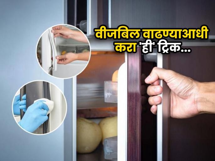 fridge door rubber mistakes that increase electricity bill tips to reduce fridge electricity consumption at home | फ्रिजच्या दरवाजाची 'ही' छोटीशी ट्रिक कमी करते उन्हाळ्यात भरमसाठ येणारं वीजबिल, पैसे आणि विजेची बचत... fridge door rubber mistakes that increase electricity bill tips to reduce fridge electricity consumption at home | फ्रिजच्या दरवाजाची 'ही' छोटीशी ट्रिक कमी करते उन्हाळ्यात भरमसाठ येणारं वीजबिल, पैसे आणि विजेची बचत...