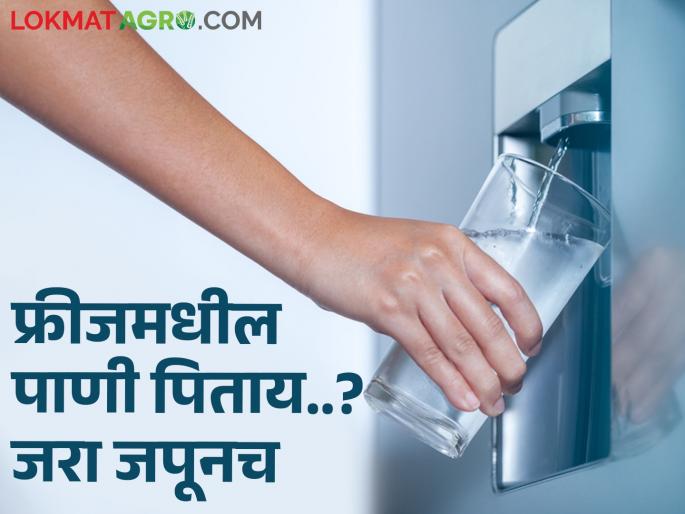 Worked in the field in the sun and drinking cold water from the fridge.. can be dangerous for health | उन्हामध्ये शेतात काम केलंय अन् फ्रीजचे गार पाणी पिताय.. आरोग्यासाठी ठरू शकते घातक Worked in the field in the sun and drinking cold water from the fridge.. can be dangerous for health | उन्हामध्ये शेतात काम केलंय अन् फ्रीजचे गार पाणी पिताय.. आरोग्यासाठी ठरू शकते घातक