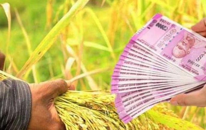 The amount of subsidy was credited to the accounts of three thousand farmers | तीन हजार शेतकऱ्यांच्या खात्यात जमा झाली अनुदानाची रक्कम   The amount of subsidy was credited to the accounts of three thousand farmers | तीन हजार शेतकऱ्यांच्या खात्यात जमा झाली अनुदानाची रक्कम