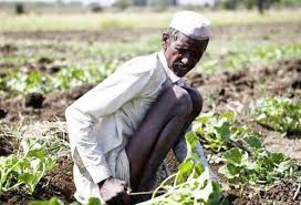 Farmers need cash! | बळीराजाच्या हातात पैसाच नाही, शेतकऱ्यास हवी रोकड! Farmers need cash! | बळीराजाच्या हातात पैसाच नाही, शेतकऱ्यास हवी रोकड!