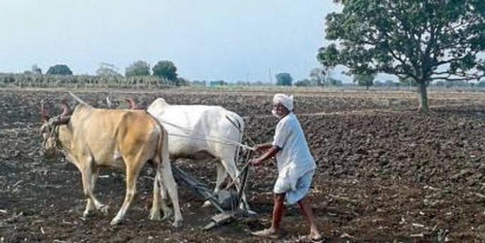 Farmer's financial planning collapses in 'Lockdown'! | ‘लॉकडाऊन’मध्ये शेतकऱ्यांचे आर्थिक नियोजन कोलमडले ! Farmer's financial planning collapses in 'Lockdown'! | ‘लॉकडाऊन’मध्ये शेतकऱ्यांचे आर्थिक नियोजन कोलमडले !