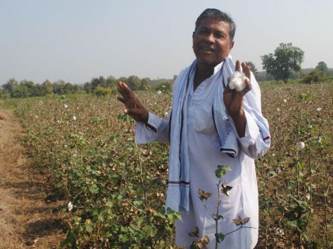 Saheb, there is no water and there is no fodder for cattle, farmers' distress in central officer of drought | साहेब, प्यायला पाणी नाही अन् गुरांना चारा नाही, शेतकऱ्यांच्या व्यथांनी केंद्रीय पथक निरुत्तर Saheb, there is no water and there is no fodder for cattle, farmers' distress in central officer of drought | साहेब, प्यायला पाणी नाही अन् गुरांना चारा नाही, शेतकऱ्यांच्या व्यथांनी केंद्रीय पथक निरुत्तर