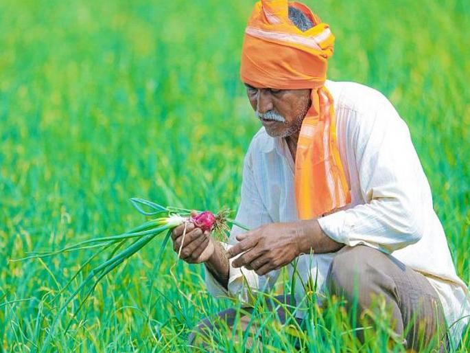 Rule of '5' for farmers' prosperity, income accounting! | दृष्टिकोन : शेतकऱ्यांच्या उत्कर्ष, उत्पन्नाच्या हिशेबासाठी ‘३०’चा नियम! Rule of '5' for farmers' prosperity, income accounting! | दृष्टिकोन : शेतकऱ्यांच्या उत्कर्ष, उत्पन्नाच्या हिशेबासाठी ‘३०’चा नियम!